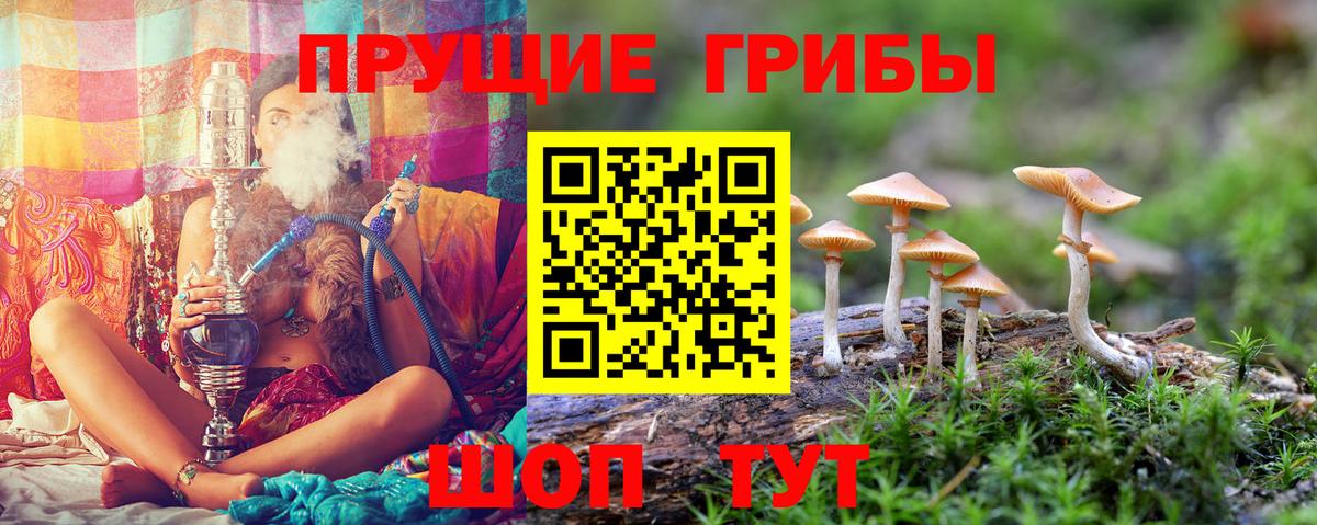 Омск  Псилоцибиновые грибы GOLDEN TEACHER  Вход с VPN 